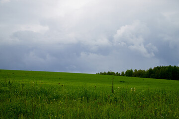 Green field and clouds on sky. Green field landscape. Dramatic blue cloudy sky background