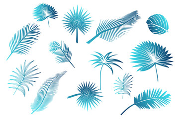 Fototapeta na wymiar bunch of palm leaves in dark blue gradient color with turquoise