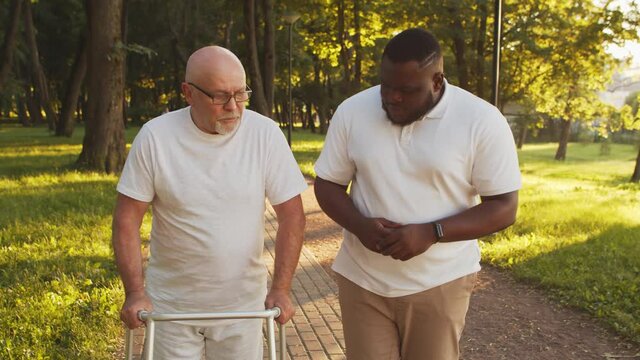 African-American caregiver is teaching disabled old man to walk with walker. Professional nurse and handicapped patient in the park. Assistance, rehabilitation and health care. Golden hour sunset.