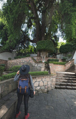 Fototapeta na wymiar Latin girl on vacation in the magical town of Valle de Bravo, knowing its tourist places, such as the giant weeping willow, enjoys the moment while taking photos.