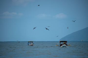 barcos de pescas, ilhas e p&aacute;ssaros