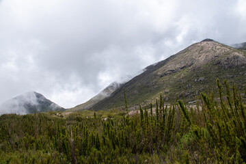 natureza verde no pico da bandeira