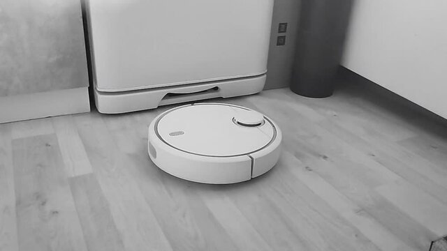robot vacuum cleaner cleans the floor and scares cats