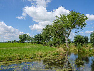 Boven Tiendweg, Alblasserwaard, Zuid-Holland Province, The Netherlands