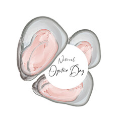 National Oyster Day. Sea oysters in delicate pinks. Seafood on a white background. Sea greeting card. Backdrop of oysters. Vector watercolor illustration.