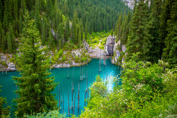 Lake Kaindy sunken forest in Kazakhstan. Beautiful mountain nature landscape. Blue lake Kolsai top...