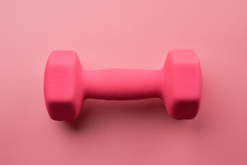 One pink female dumbbell isolated on pink background close-up with copy space. Fitness concept, weight loss and sport activity, top view, flat lay