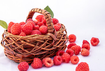 raspberries in a basket 2021