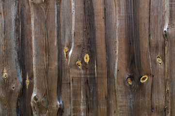 Wood texture with knots. Brown wood and yellow twigs. Cut wood pattern.