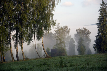 Polana z drewnianym domkiem wśród drzew spowita mgłą po wschodzie słońca 
