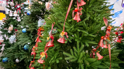 Several Christmas trees stand in a row in the store