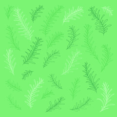Doodle set of herbs on a green background isolated. Can be used for the design of stickers, packaging, logos, clothing, tags, cosmetic products