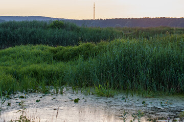 A beautiful Polish landscape