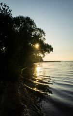 Fototapeta na wymiar Beautiful gentle sunrise on the shore with black tree silhouette