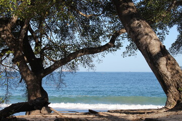 Paisaje, Vista del Mar entre &aacute;rboles 