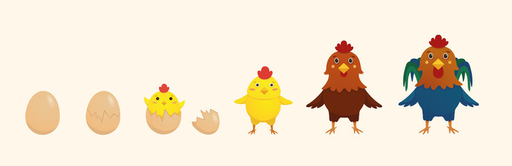 Hatching a chick from an egg. Yellow.  Egg shell. The hen and the rooster. Vector illustration.