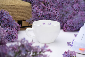 still life with lavender