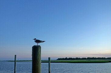 View of the Cape Fear River at sunset in Southport North Carolina
