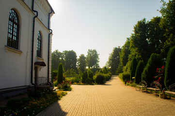 Beautiful green agro design in the park