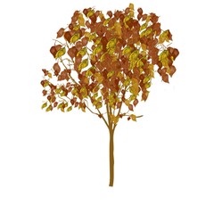 tree with leaves