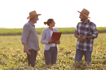 Three people standing in soy field discussing agriculture at sundown.