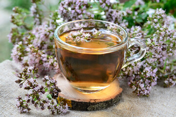 Oregano tea in a glass cup with fresh blooming herb twigs.Healthy drink,diet,alternative therapy or herbal medicine concept.Selective focus.