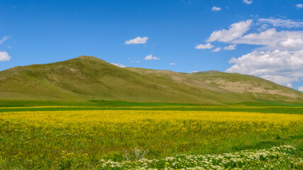 Hills of Armenia. Холмы Армении