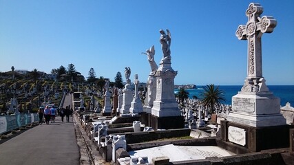 Fototapeta premium Waverley Cemetery