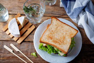Chicken Brie cheese sandwich on the plate