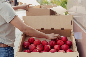 Shopper selecting stone fruit from a produce box