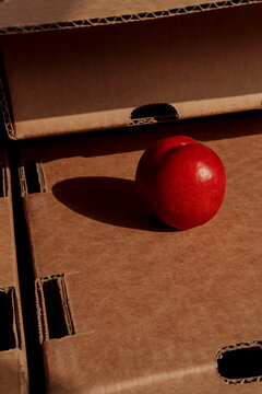 Close up of stone fruit on top of cardboard produce box