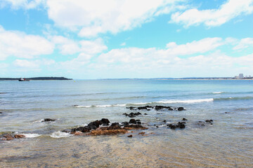 Fototapeta na wymiar rocky beach and sea under a blue sky in Punta del Este Uruguay