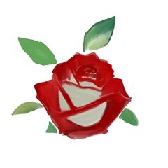 red rose