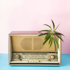 Old radio with green leaf on blue and pink background. Minimal retro concept.