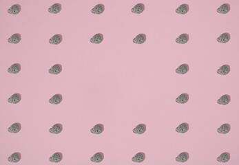 Sea stone pattern on pink background. Minimal lay out concept.