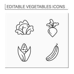 Vegetables line icons set. Edible plant. Vegetarian, healthy nutrition. Cabbage and sweet corn, cucumber and radish. Agriculture concept. Isolated vector illustration. Editable stroke