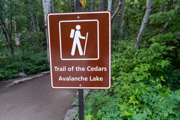 Trailhead sign for Trail of the Cedars and Avalanche Lake in Glacier National Park
