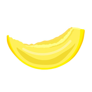 Hand-drawn slice of melon  vector illustration. Farm organic rmelon for juice or salad. Vegetarian fruit for diet