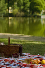picnic in the park