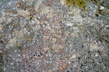 Obraz na płótnie Canvas Lichen-covered grey granite rocks as texture or background