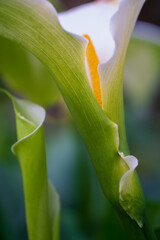 Obraz premium Travel