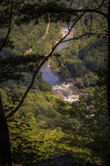 New River and Surrounding Mountains Seen From 1000 Feet up on the Endless Wall Trail in New River Gorge National Park