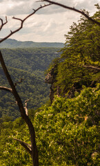Massive Rock Walls on the Endless Wall Trail Overlooking New River in New River Gorge National Park, West Virginia 