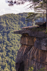 Massive Rock Walls on the Endless Wall Trail Overlooking New River in New River Gorge National Park, West Virginia 