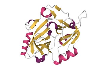 Structure of exfoliative toxin A from Staphylococcus aureus, 3D cartoon model, secondary structure color scheme,based on PDB 1exf, white background