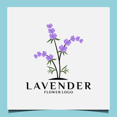 creative botanical flower lavender logo design for your business saloon, spa, cosmetic, herbal