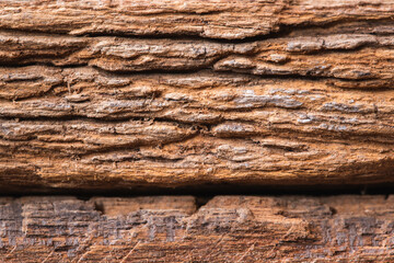Closeup texture of wooden edge