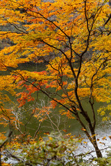 広島県帝釈峡、秋模様。