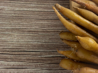 The fingerroot  on wood table close up image for food and medical concept