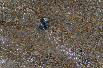 Shell Under Water Background